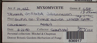 Image Associated With the Occurence